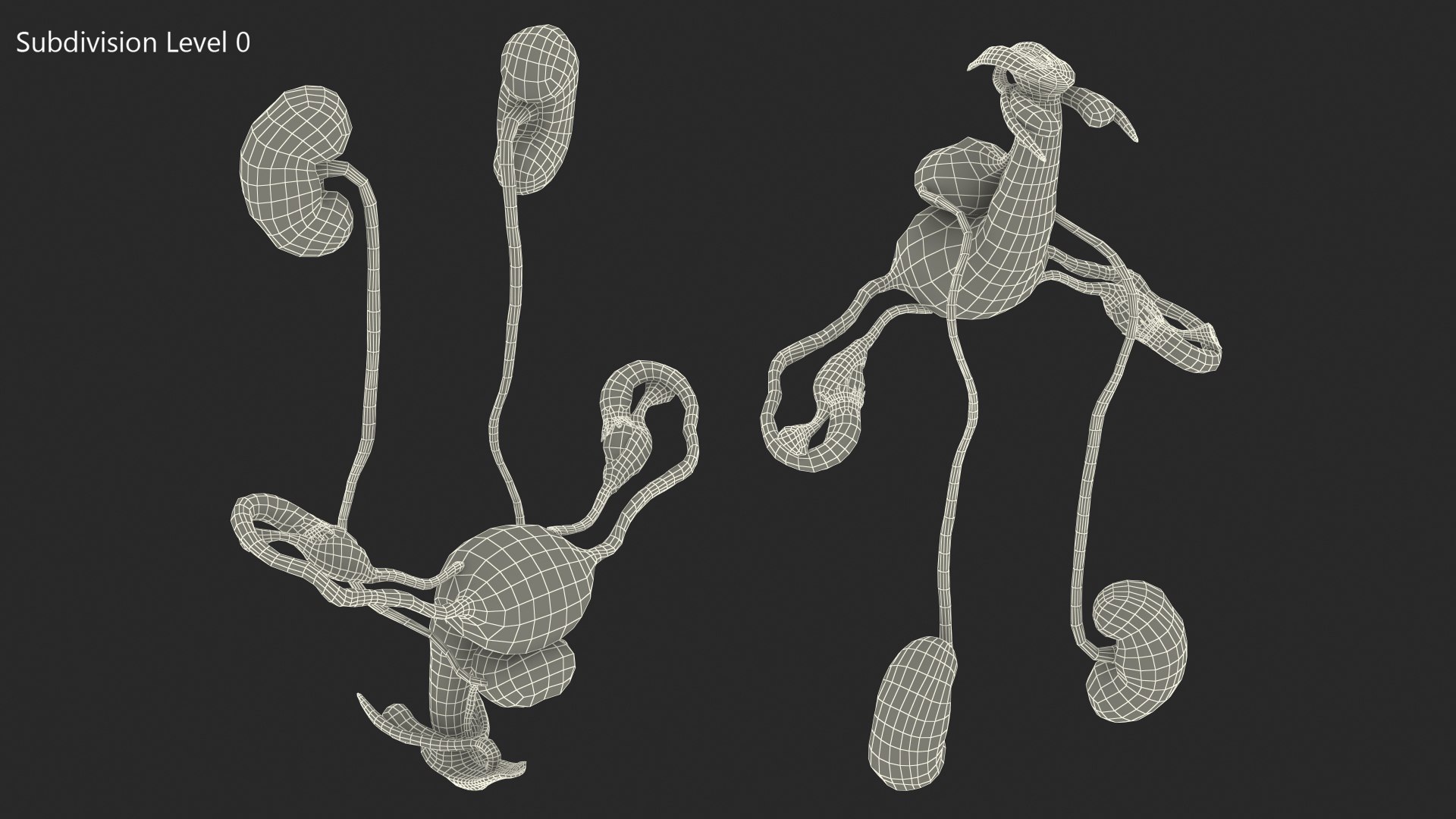 3D model Female Reproductive System https://p.turbosquid.com/ts-thumb/NJ/ueOi6K/a1/femalereproductivesystem3dmodel021/jpg/1641993082/1920x1080/fit_q87/736d0e43797f3e5caf5ad066db8cd7538553a887/femalereproductivesystem3dmodel021.jpg