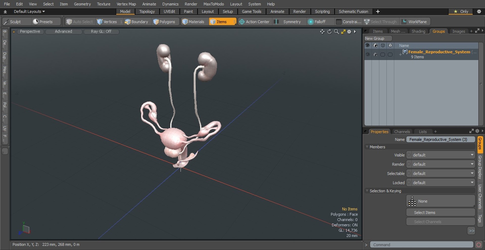 3D model Female Reproductive System https://p.turbosquid.com/ts-thumb/NJ/ueOi6K/gO/femalereproductivesystem3dmodel029/jpg/1641993105/1920x1080/fit_q87/ddea165d9534e310ca5b2c99be94e9d1c78607af/femalereproductivesystem3dmodel029.jpg