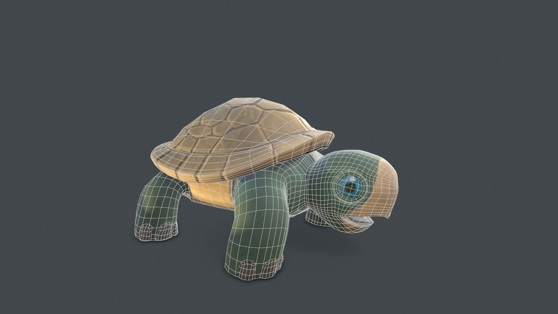 3D turtle reptile model https://p.turbosquid.com/ts-thumb/NJ/w49GiD/I4BIgCuM/screenshot006/jpg/1596457901/1920x1080/fit_q87/7d5e524d19d59a7ae74f50d3b3d49b16c42062ac/screenshot006.jpg