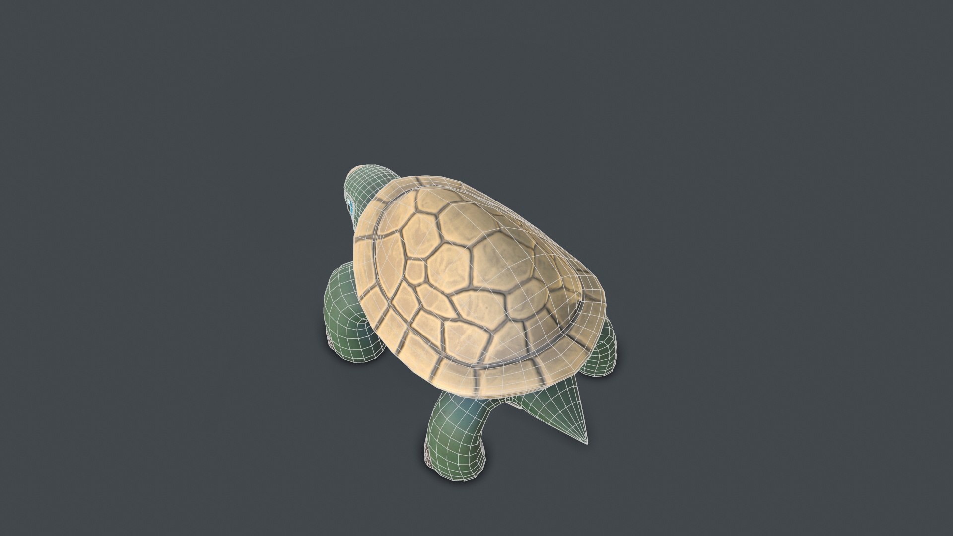 3D turtle reptile model https://p.turbosquid.com/ts-thumb/NJ/w49GiD/XdqEpDzR/screenshot007/jpg/1596457912/1920x1080/fit_q87/1d3b451a2d4140632152c07bf9c44d50c7690e72/screenshot007.jpg