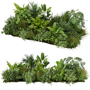 Collection plant vol 283 - outdoor - garden - leaf - cinema4d - 3dmax - fbx - obj