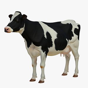Realistic 3D Cow Model 3D model