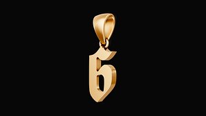 number 6 pendant