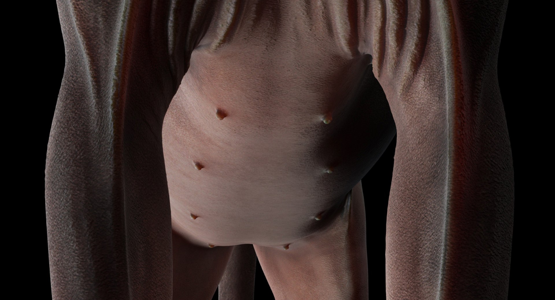 sphynx cat 3D model https://p.turbosquid.com/ts-thumb/NK/CoaZJO/8hSvRrH9/sphynx_render_add_15/jpg/1556010190/1920x1080/fit_q87/62cb4cf83d80216297b3c3f44a5f68120e58a282/sphynx_render_add_15.jpg
