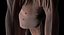 Sphynx Cat 3