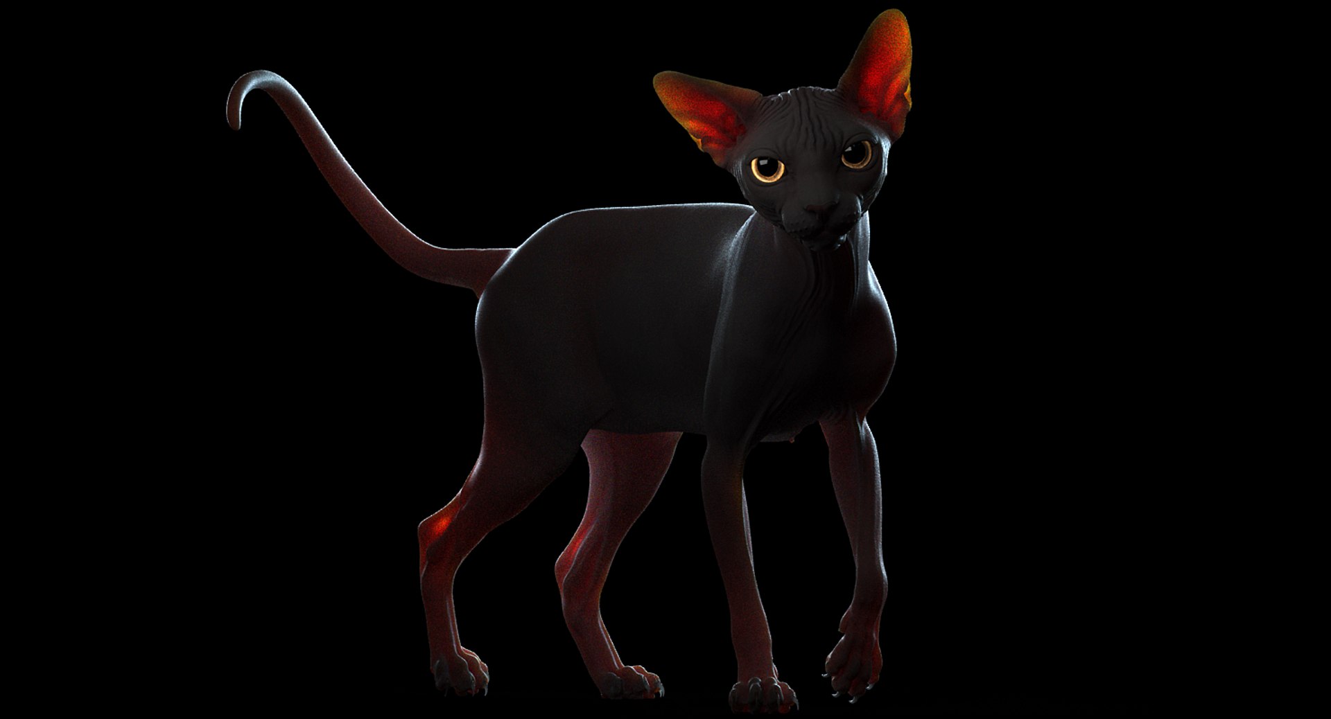 sphynx cat 3D model https://p.turbosquid.com/ts-thumb/NK/CoaZJO/DhlpjCRH/sphynx_white_add_09/png/1556006607/1920x1080/fit_q87/f39cd57cd3c2cc5cb110ef092d44fc3a349fae9c/sphynx_white_add_09.jpg