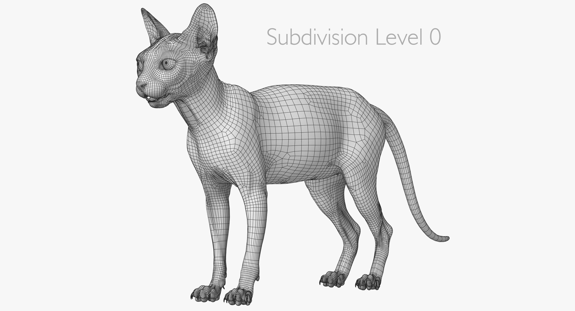 sphynx cat 3D model https://p.turbosquid.com/ts-thumb/NK/CoaZJO/KYQQMnKV/spnynx_wireframe_01/jpg/1555937860/1920x1080/fit_q87/b8a2ab52793955dffe2d066ceb27644b4ca254b4/spnynx_wireframe_01.jpg
