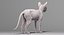 Sphynx Cat 3