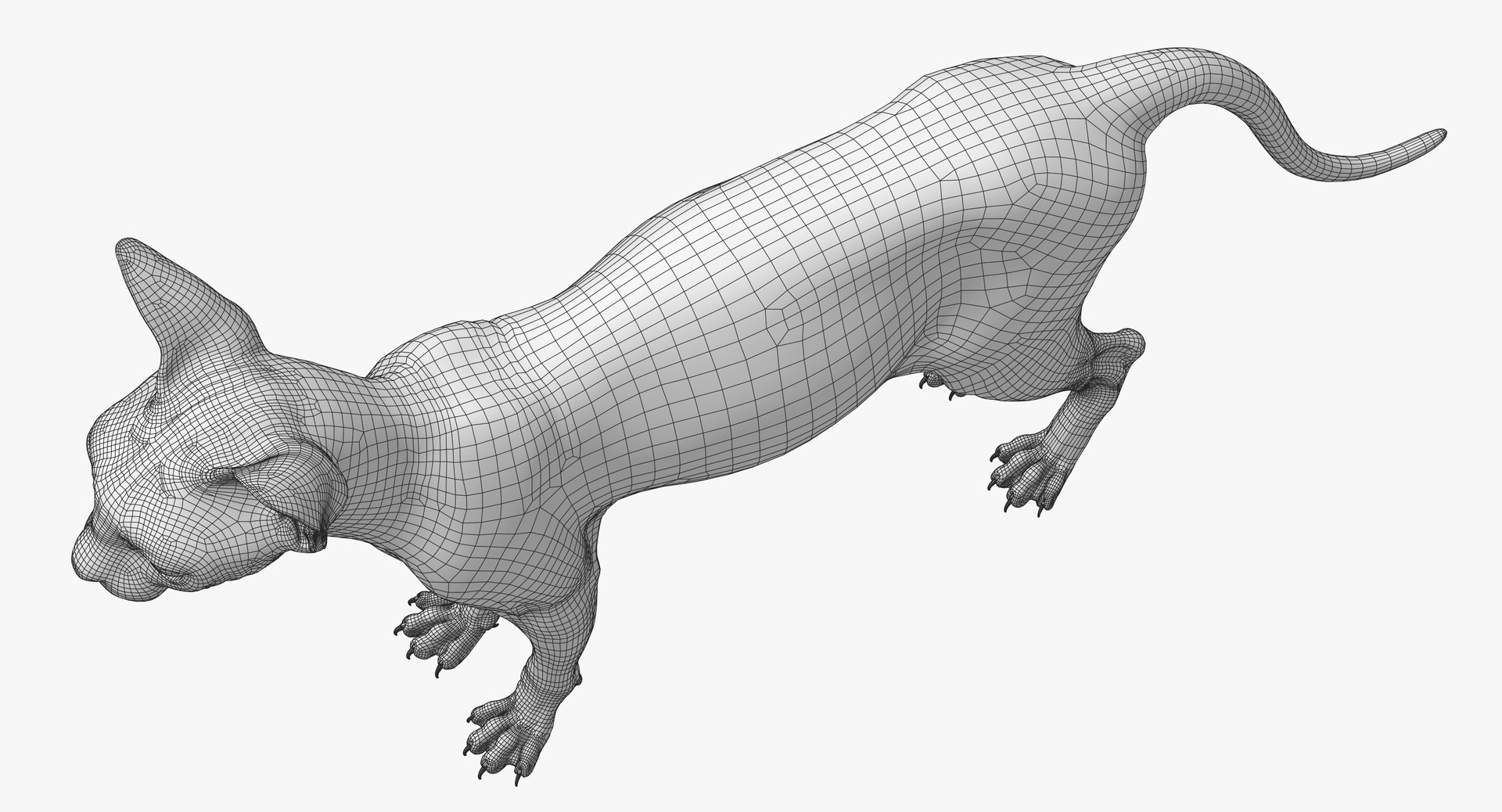 sphynx cat 3D model https://p.turbosquid.com/ts-thumb/NK/CoaZJO/ckt0UnhF/spnynx_wireframe_05/jpg/1555937860/1920x1080/fit_q87/5678206252e2ba54417897eee9092006e077002f/spnynx_wireframe_05.jpg