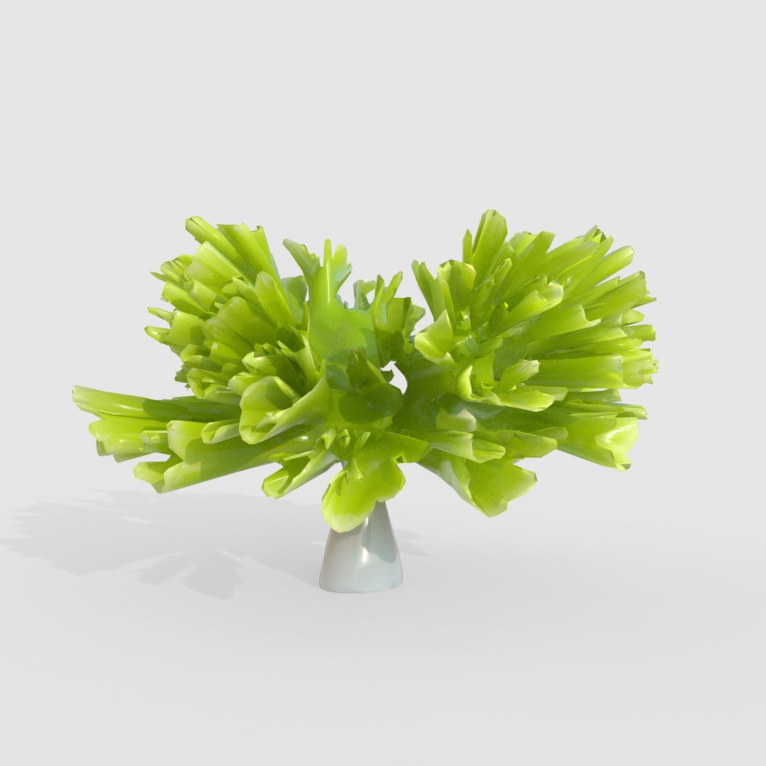 3D Photorealistic Seaweed Pack https://p.turbosquid.com/ts-thumb/NK/GHla8v/SZ/2/jpg/1776152053/1920x1080/fit_q87/b12637d8c1b4812f1bded7c7f1644511078d9f29/2.jpg
