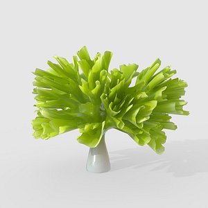 Seaweed V4 3D model