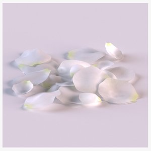 3D Jasmine petals