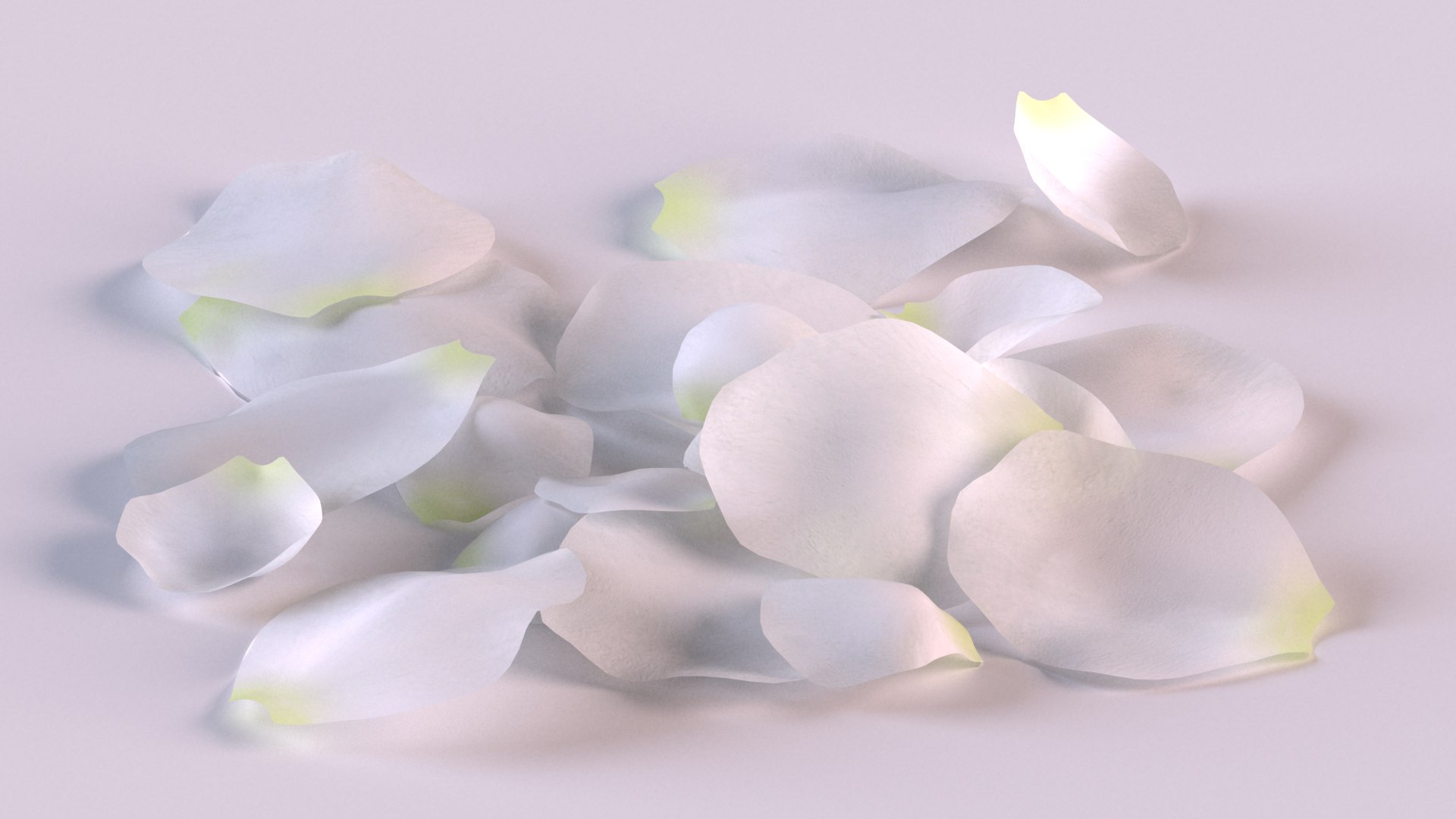 3D Jasmine Petals TurboSquid 1878555