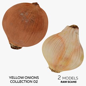 Yellow Onions Collection 02 - 2 models RAW Scans 3D
