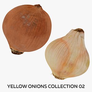 Yellow Onions Collection 02 - 2 models RAW Scans 3D