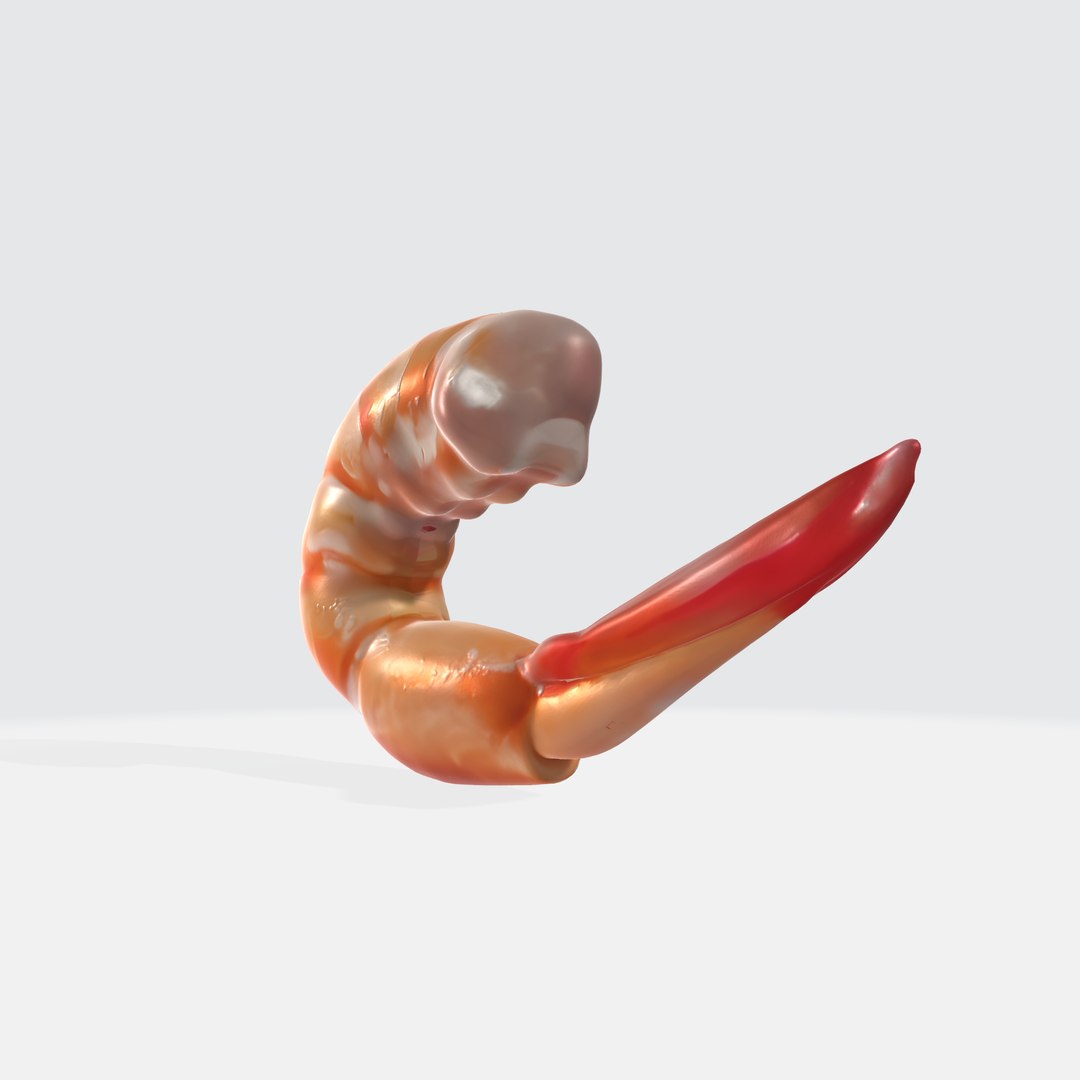 Shrimp 3D Model - TurboSquid 2270979