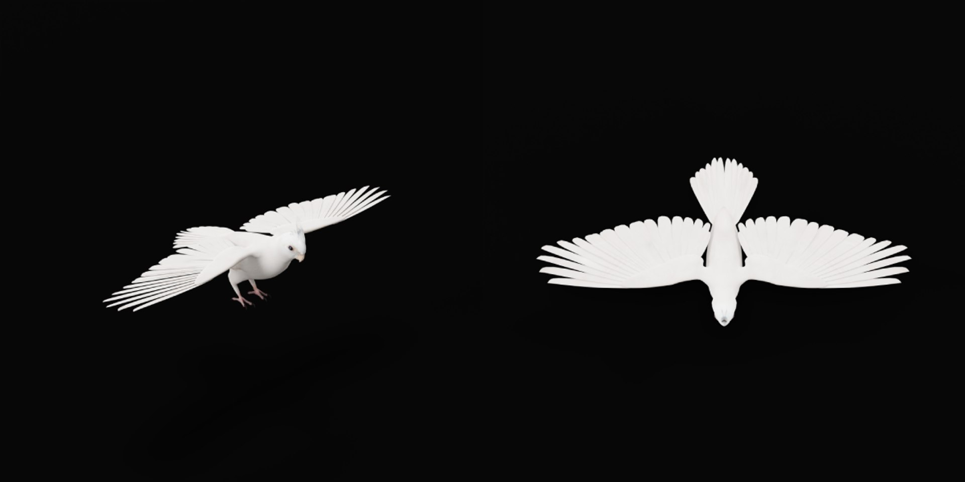3D Albino Cockatiel Parrot Bird https://p.turbosquid.com/ts-thumb/NK/wTRoa3/5G/cockatiel_bird7/png/1743546664/1920x1080/fit_q87/853f940f67b26ae5b341c0f5e78d86ab36f6cdf7/cockatiel_bird7.jpg