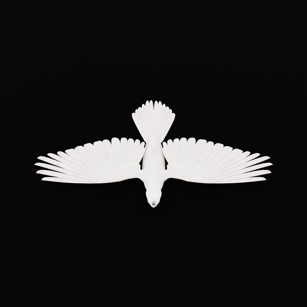 3D Albino Cockatiel Parrot Bird https://p.turbosquid.com/ts-thumb/NK/wTRoa3/Cw/albinocockatielao/jpg/1743546656/1920x1080/fit_q87/9e803f1125d1f83de80202f7c357318da5f119ee/albinocockatielao.jpg