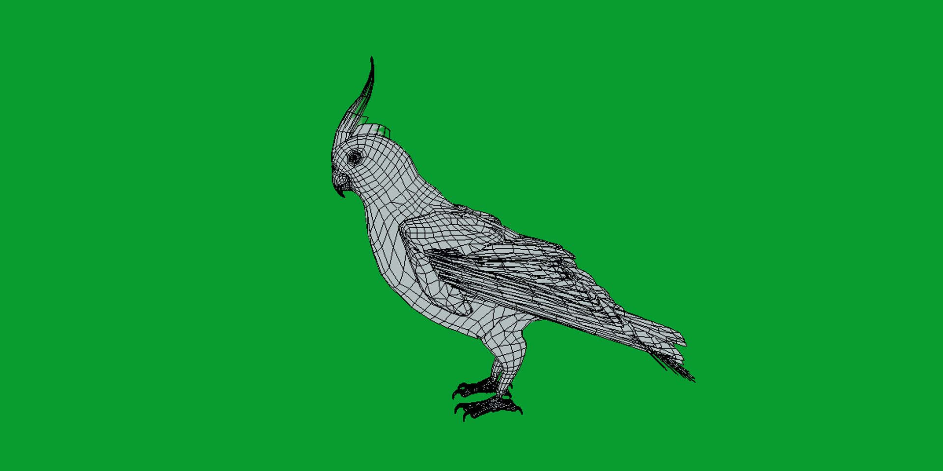 3D Albino Cockatiel Parrot Bird https://p.turbosquid.com/ts-thumb/NK/wTRoa3/D5/cockatiel_bird29/png/1743546676/1920x1080/fit_q87/e7b96054b291693d616067aa147779260e7d01ba/cockatiel_bird29.jpg