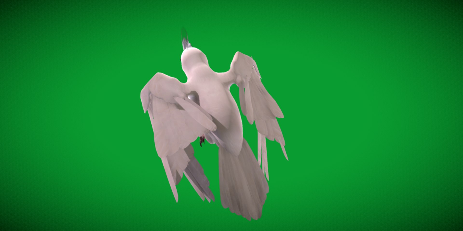 3D Albino Cockatiel Parrot Bird https://p.turbosquid.com/ts-thumb/NK/wTRoa3/Ql/cockatiel_bird31/png/1743546678/1920x1080/fit_q87/74d5a02306f505db71cffaa811709e20a82a531a/cockatiel_bird31.jpg
