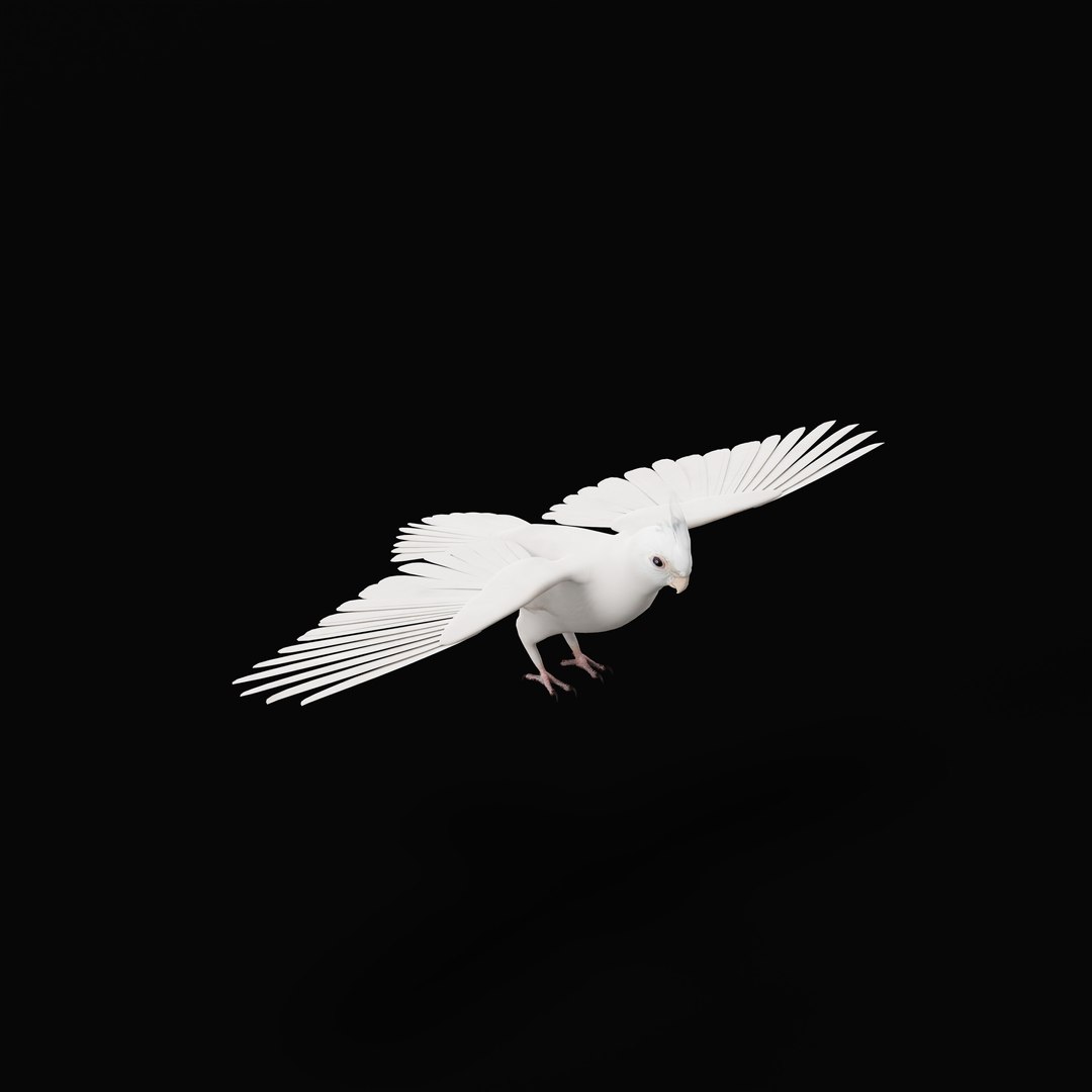 3D Albino Cockatiel Parrot Bird https://p.turbosquid.com/ts-thumb/NK/wTRoa3/aE/albinocockatielao_0002/jpg/1743546658/1920x1080/fit_q87/fa38e900ae955ea1453c40947b8c993d66536830/albinocockatielao_0002.jpg