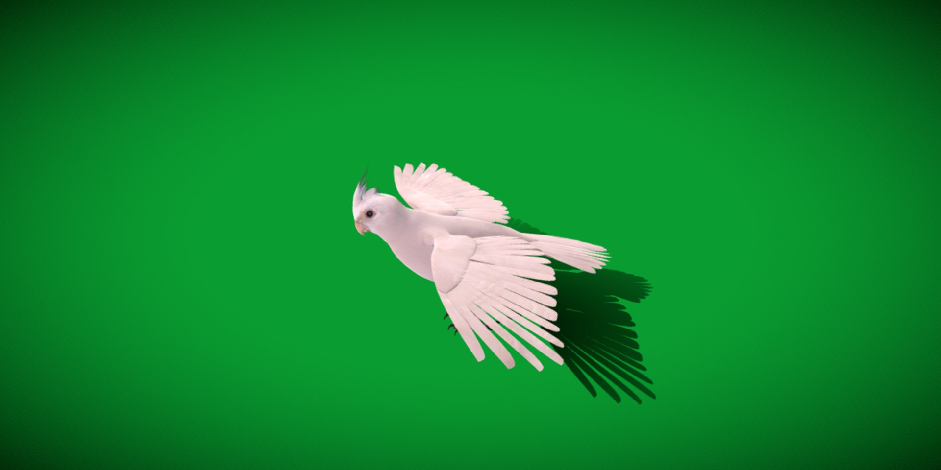 3D Albino Cockatiel Parrot Bird https://p.turbosquid.com/ts-thumb/NK/wTRoa3/mJ/cockatiel_bird/png/1743546680/1920x1080/fit_q87/e8466af776f337c17dad550b5de1072dd3ad9230/cockatiel_bird.jpg