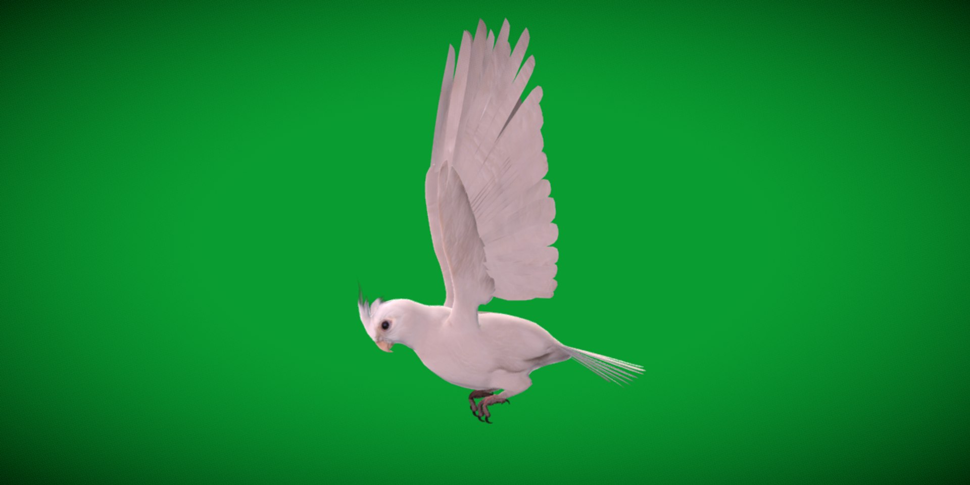 3D Albino Cockatiel Parrot Bird https://p.turbosquid.com/ts-thumb/NK/wTRoa3/rd/cockatiel_bird32/png/1743546678/1920x1080/fit_q87/44ce497c96a3777bb625c08f2f1224cc9ce97038/cockatiel_bird32.jpg