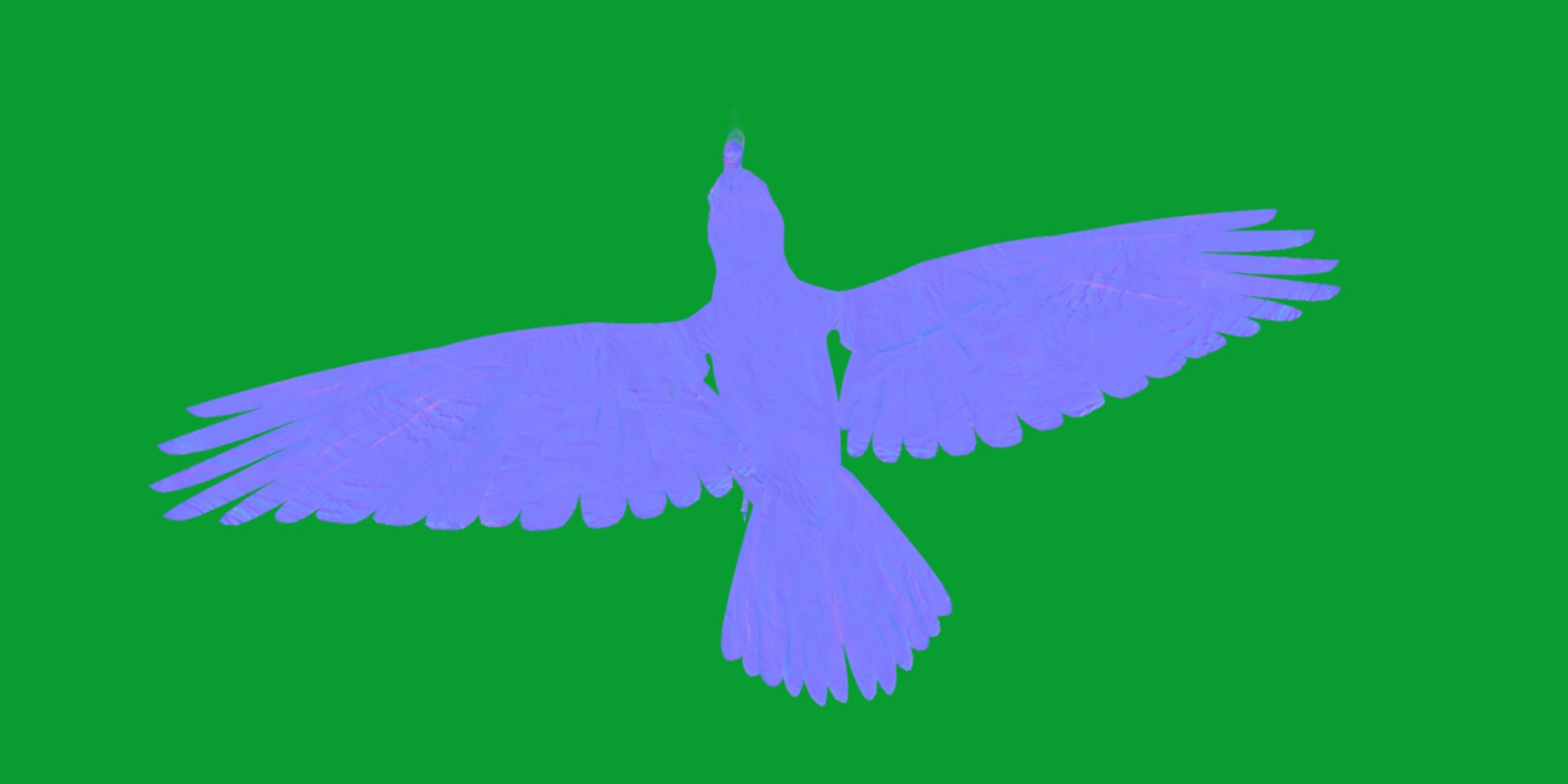 3D Albino Cockatiel Parrot Bird https://p.turbosquid.com/ts-thumb/NK/wTRoa3/xF/cockatiel_bird11/png/1743546666/1920x1080/fit_q87/f131a509ac07bb0e5e0fef3645c2833acfdea748/cockatiel_bird11.jpg