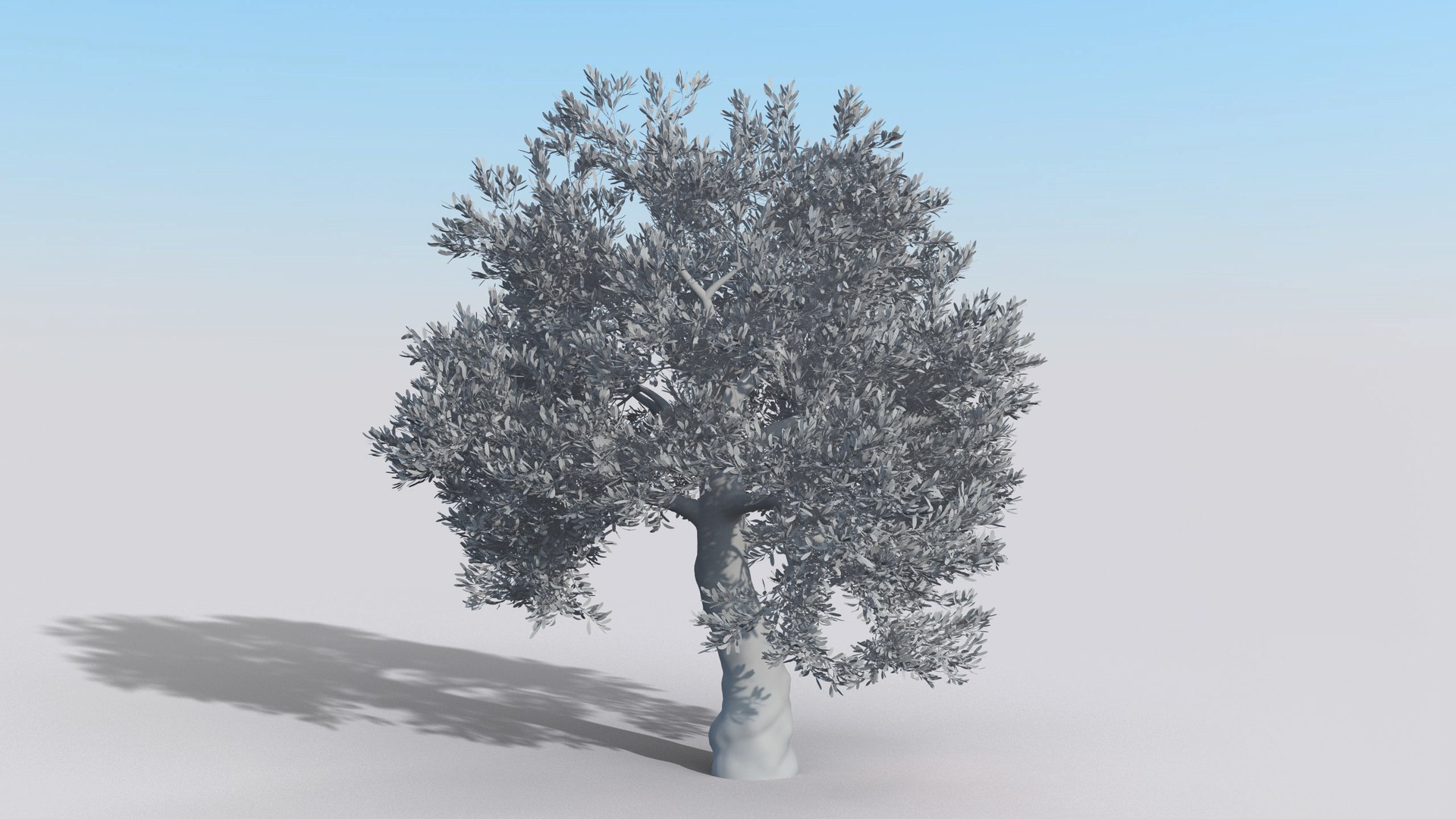 Olive Tree Model - TurboSquid 1531259