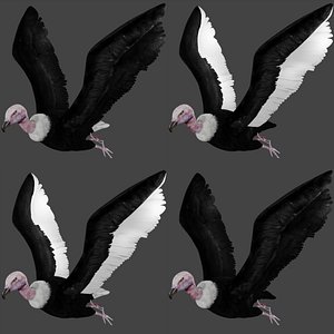 flying vulture condor 3D model