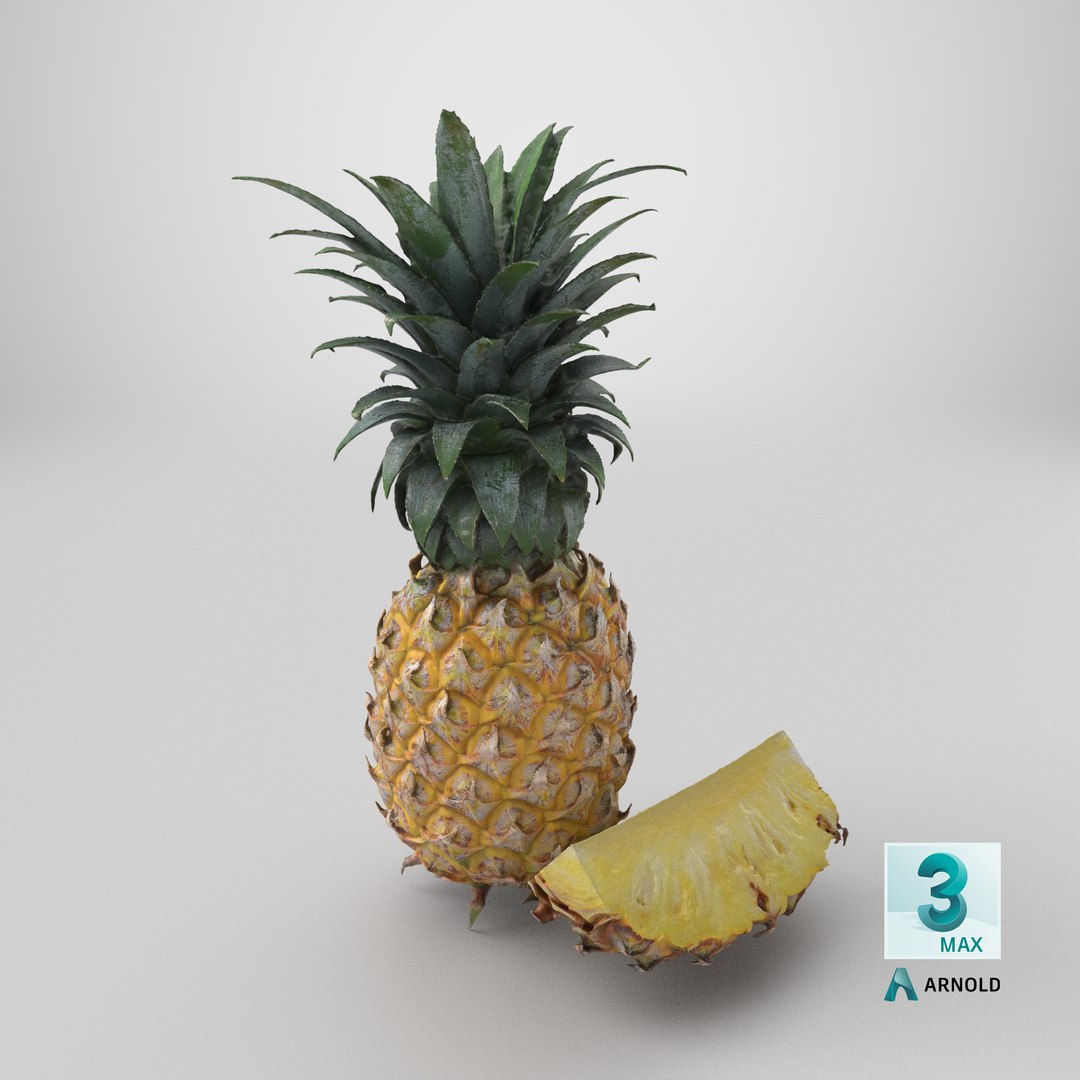 Pineapple Fruit model https://p.turbosquid.com/ts-thumb/NL/3As7S2/Ff/stemcell_max_arnold_render/png/1763144910/1920x1080/fit_q87/243181e5a92614ad09476e941cb34eb61032a530/stemcell_max_arnold_render.jpg