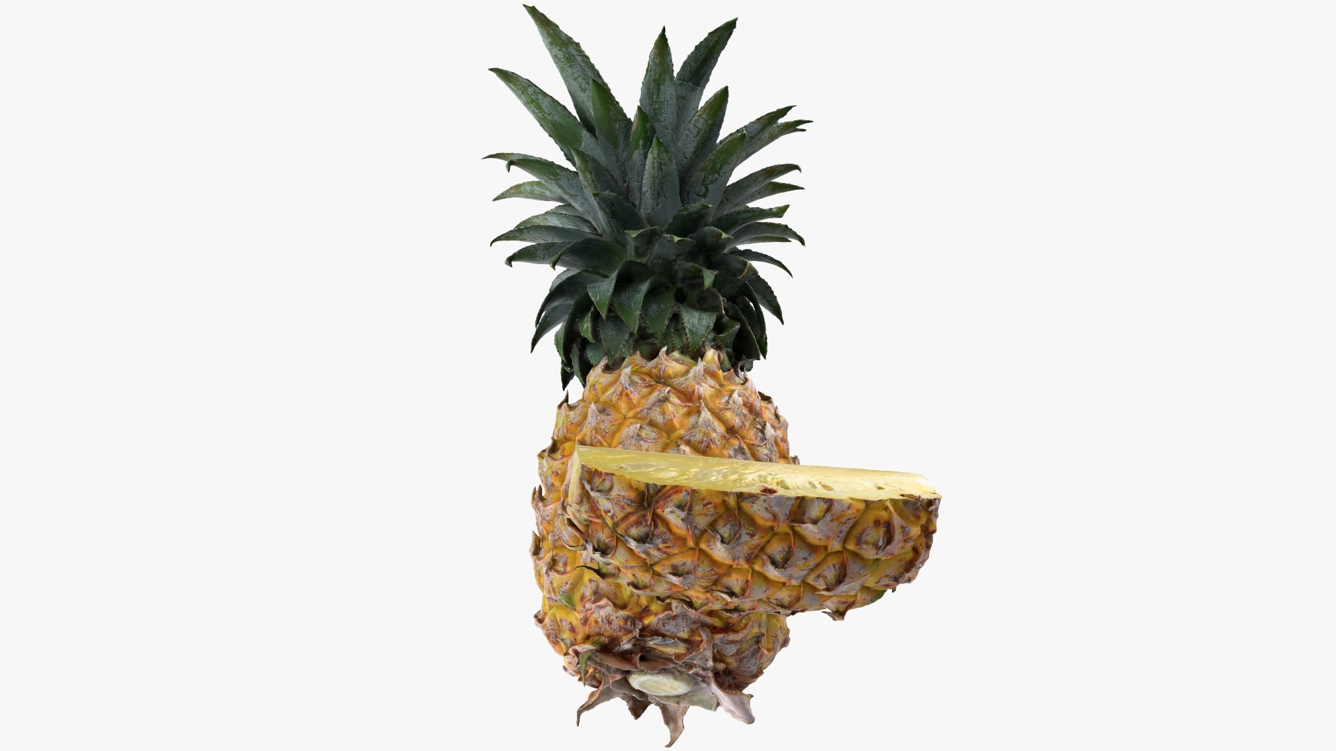 Pineapple Fruit model https://p.turbosquid.com/ts-thumb/NL/3As7S2/Q6/pineapple_0012/png/1763106993/1920x1080/fit_q87/9578f2a143b1d823e3d81276581e1b91c2fef242/pineapple_0012.jpg