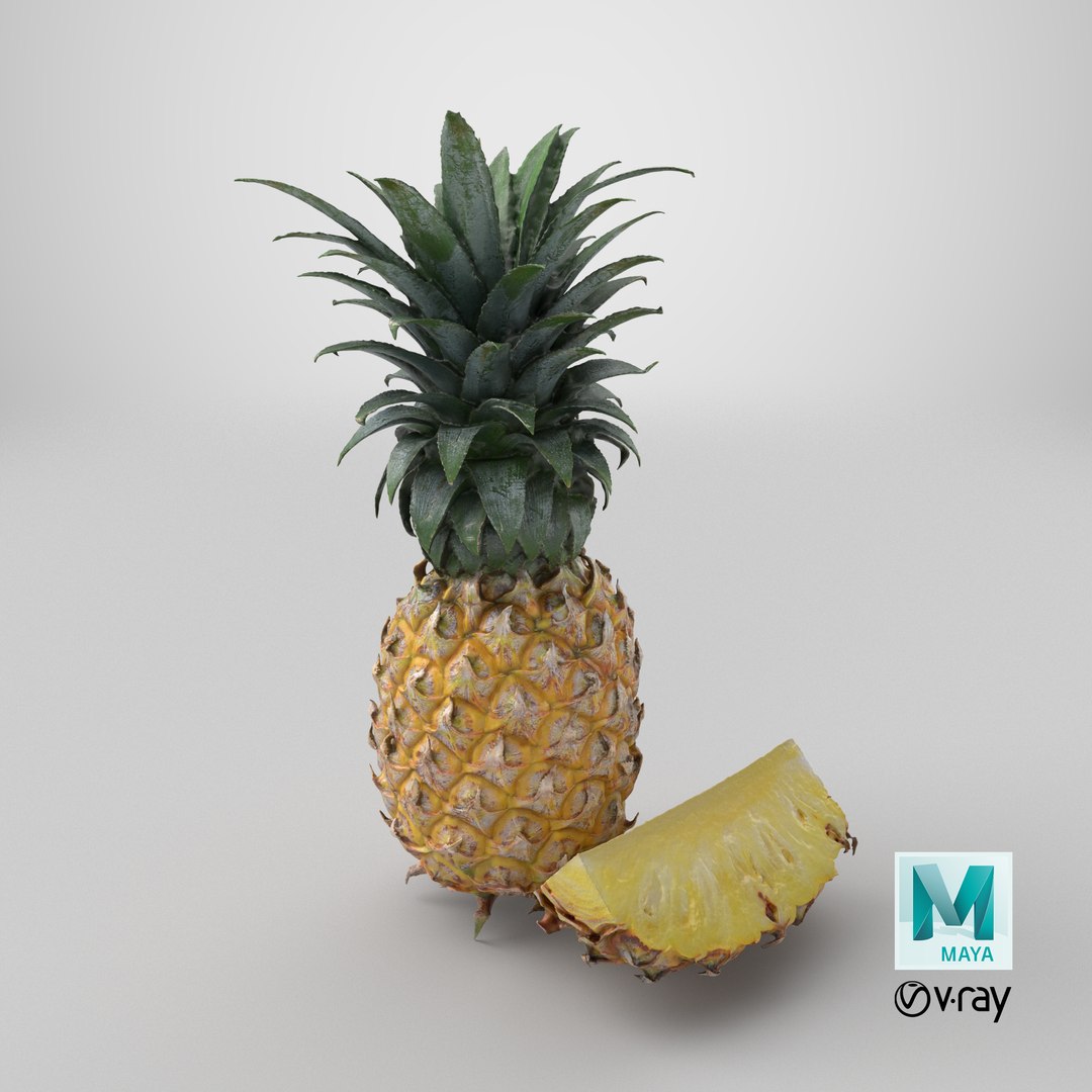 Pineapple Fruit model https://p.turbosquid.com/ts-thumb/NL/3As7S2/Uv/stemcell_maya_vray_render/png/1763144903/1920x1080/fit_q87/651a09296e1695d6df70611d7f591ac98fc92bd3/stemcell_maya_vray_render.jpg