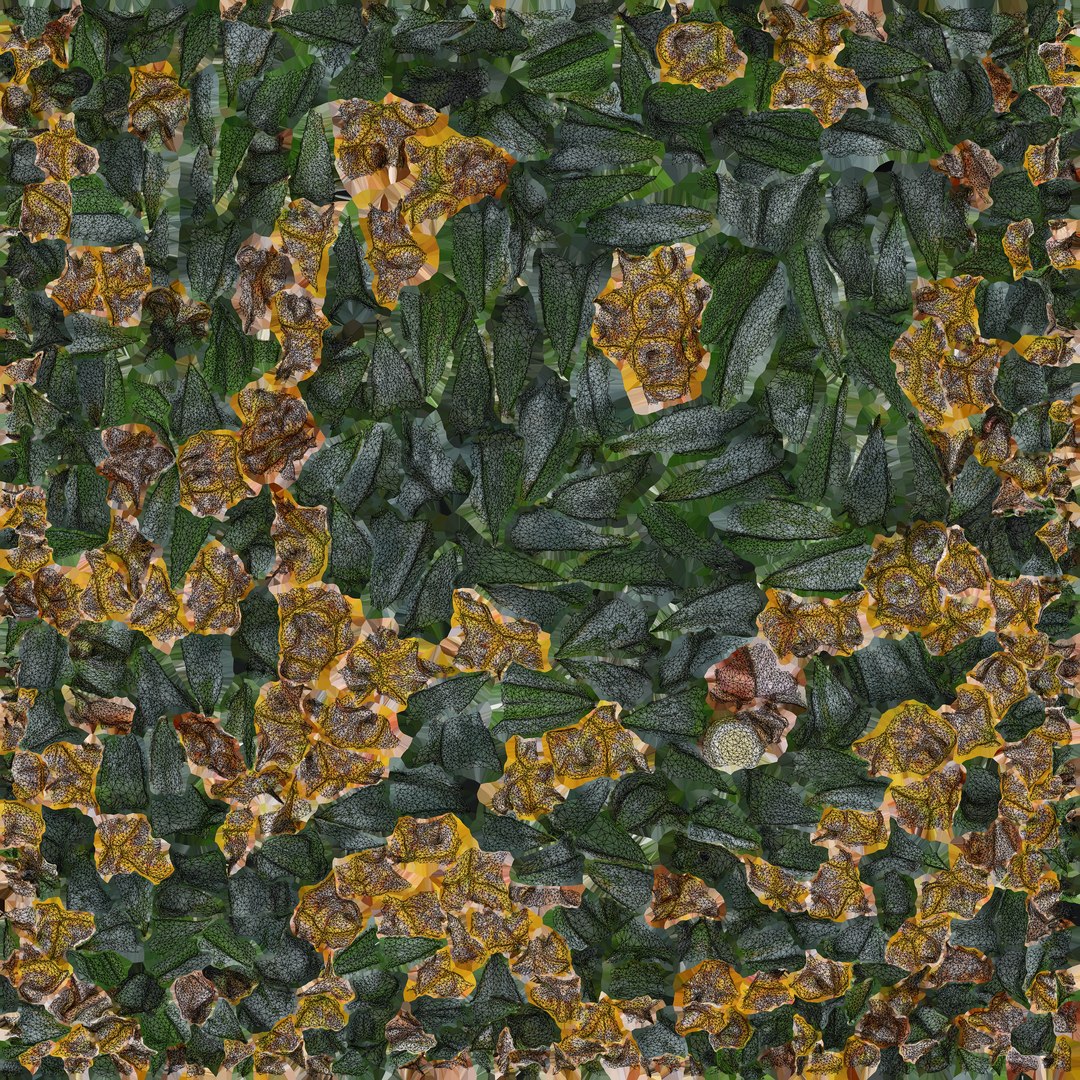 Pineapple Fruit model https://p.turbosquid.com/ts-thumb/NL/3As7S2/ob/pineapple_c0004/png/1763107019/1920x1080/fit_q87/f071edfed5e9e7626e9fbb5c1065c032fbe7c9db/pineapple_c0004.jpg