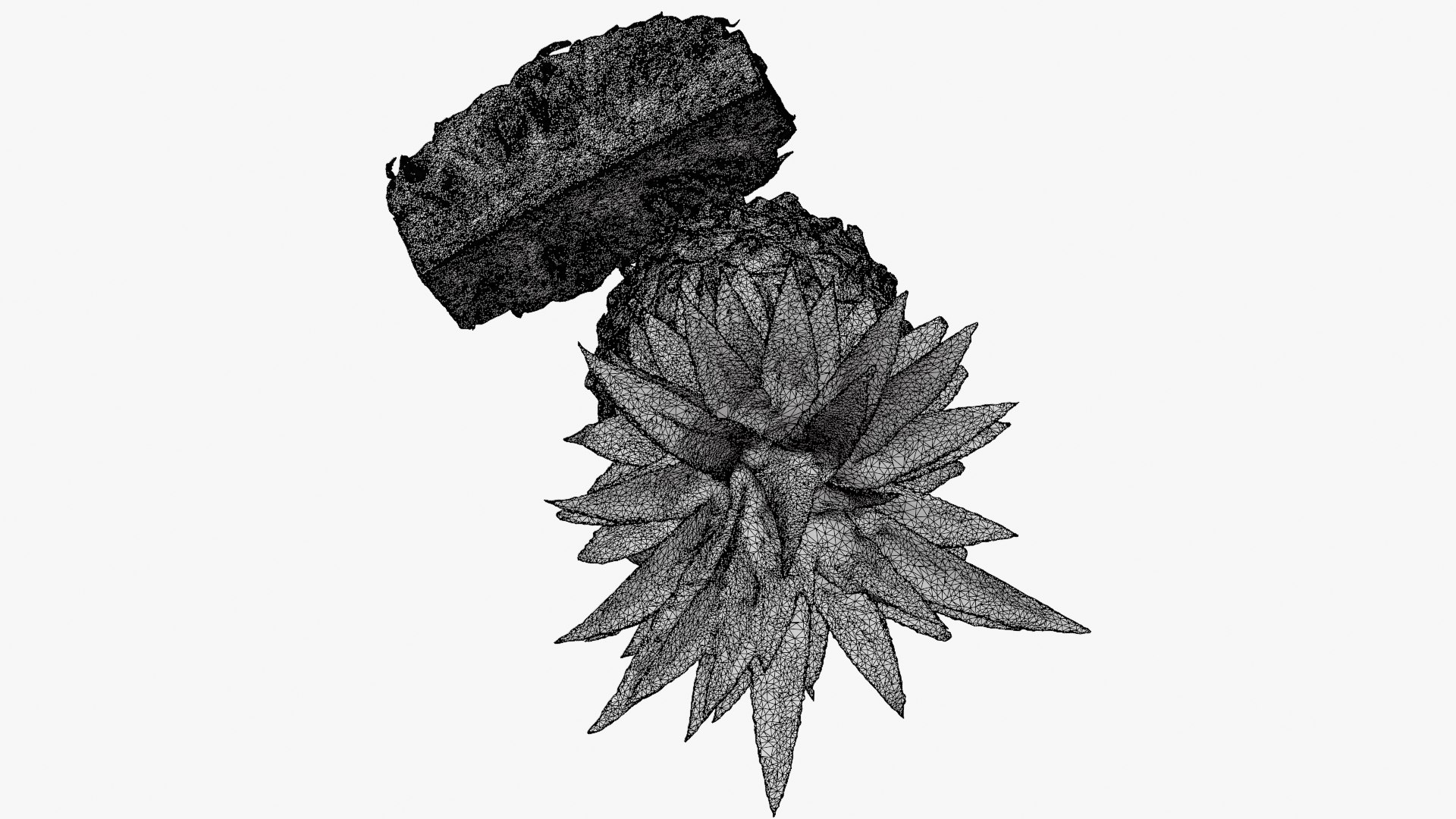 Pineapple Fruit model https://p.turbosquid.com/ts-thumb/NL/3As7S2/yj/pineapple_d0005/png/1763107008/1920x1080/fit_q87/8e30b26ea34fd4ba56139aa638cc947d015f1c0b/pineapple_d0005.jpg