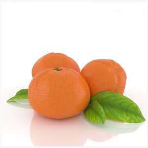 mandarin orange fruit citrus 3D