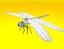 Dragonfly Rigged