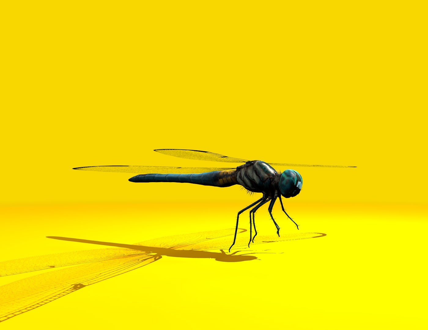 3D dragonfly rigged https://p.turbosquid.com/ts-thumb/NL/BaHqF9/0QncPl0t/4/jpg/1544036166/1920x1080/fit_q87/4092b9cbed082047704e36ac8cc1e8fa8d77b82e/4.jpg