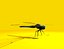 Dragonfly Rigged