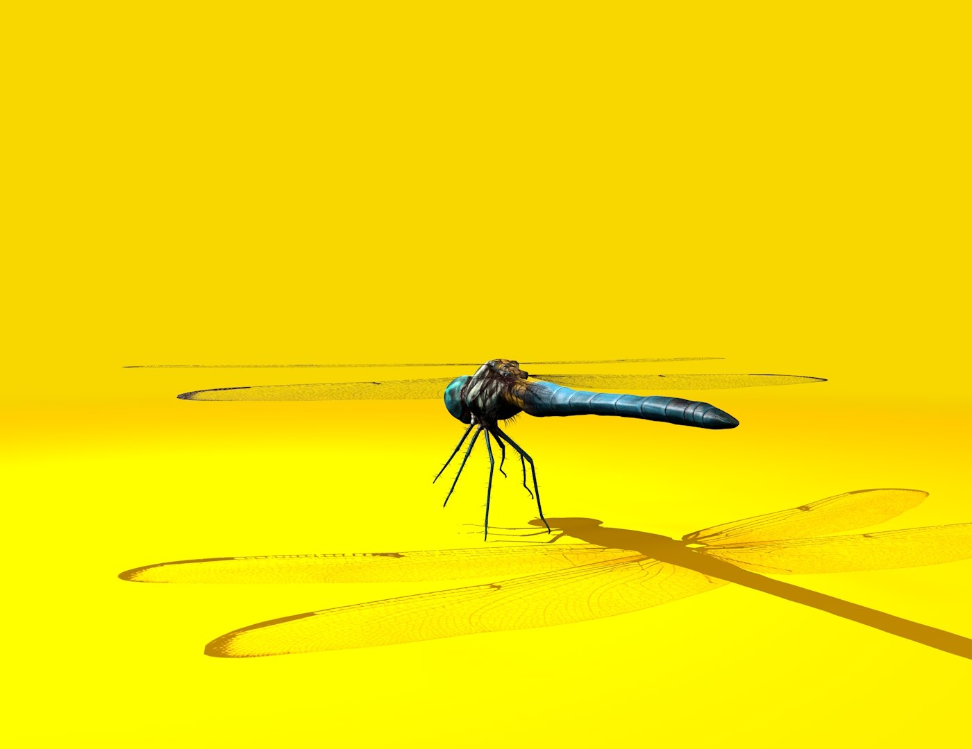 3D dragonfly rigged https://p.turbosquid.com/ts-thumb/NL/BaHqF9/92FgzNo0/6/jpg/1544036338/1920x1080/fit_q87/45a636d6521638323f491bd5bfedb48b88e8c41c/6.jpg