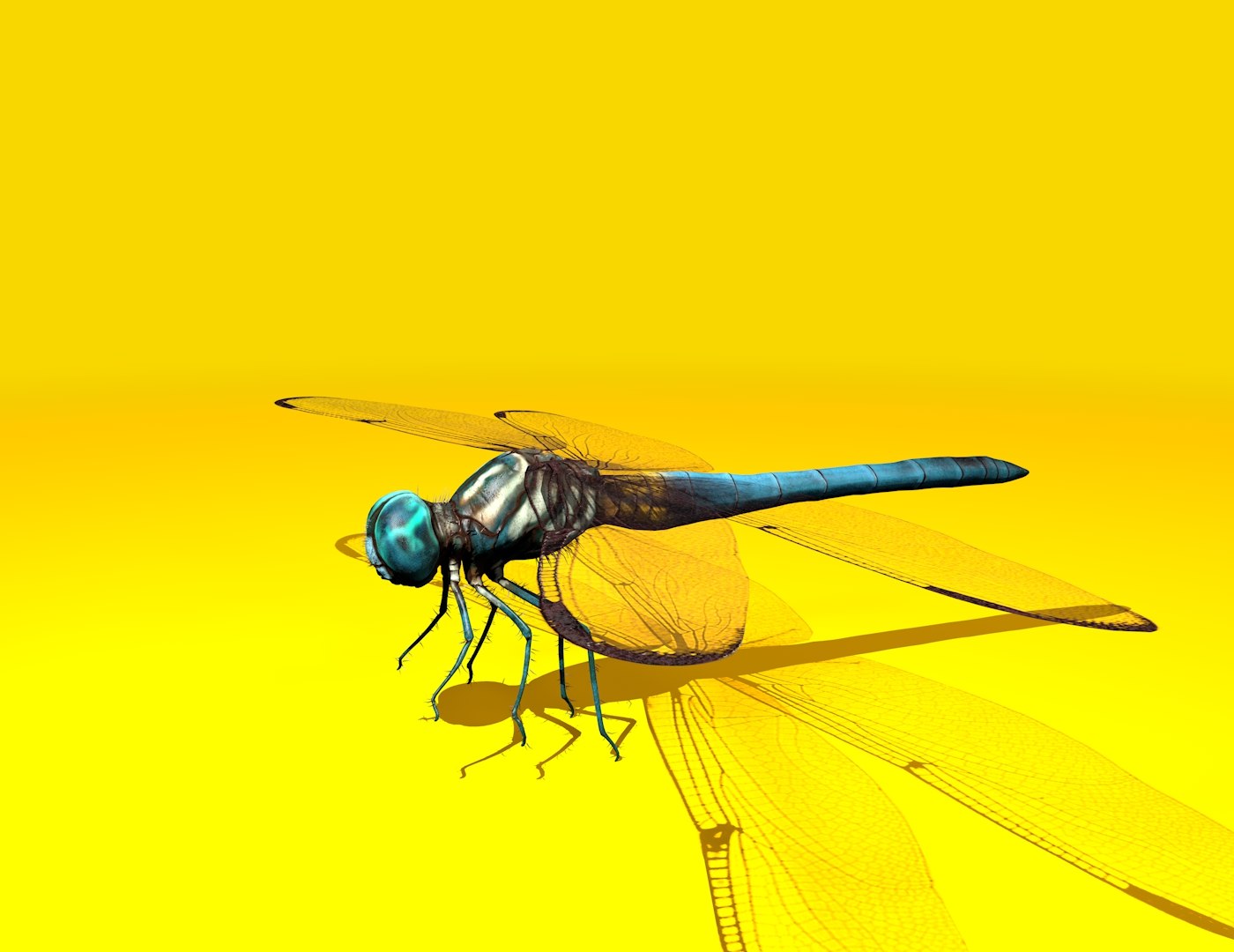 3D dragonfly rigged https://p.turbosquid.com/ts-thumb/NL/BaHqF9/9anG2SNL/1/jpg/1544036090/1920x1080/fit_q87/51c4bf04a5e21ff256f2dd1780498317c414d908/1.jpg