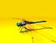 Dragonfly Rigged