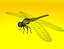 Dragonfly Rigged