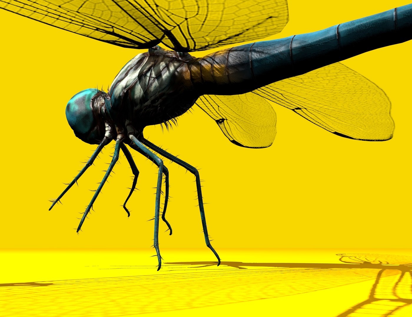 3D dragonfly rigged https://p.turbosquid.com/ts-thumb/NL/BaHqF9/JcjmX6xE/9/jpg/1544036453/1920x1080/fit_q87/740c684c210058e418a3637194dbd82b4072f5f4/9.jpg