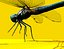 Dragonfly Rigged