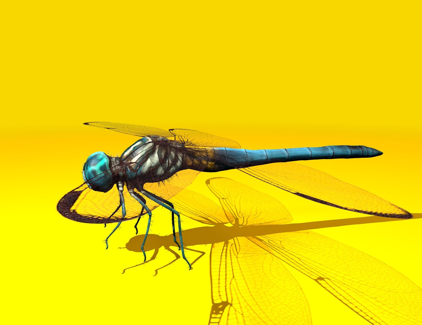 3D dragonfly rigged https://p.turbosquid.com/ts-thumb/NL/BaHqF9/S3T3fiwH/3/jpg/1544036264/1920x1080/fit_q87/7aab96c715946a5848db9523d7b1035ee4ab5e1e/3.jpg
