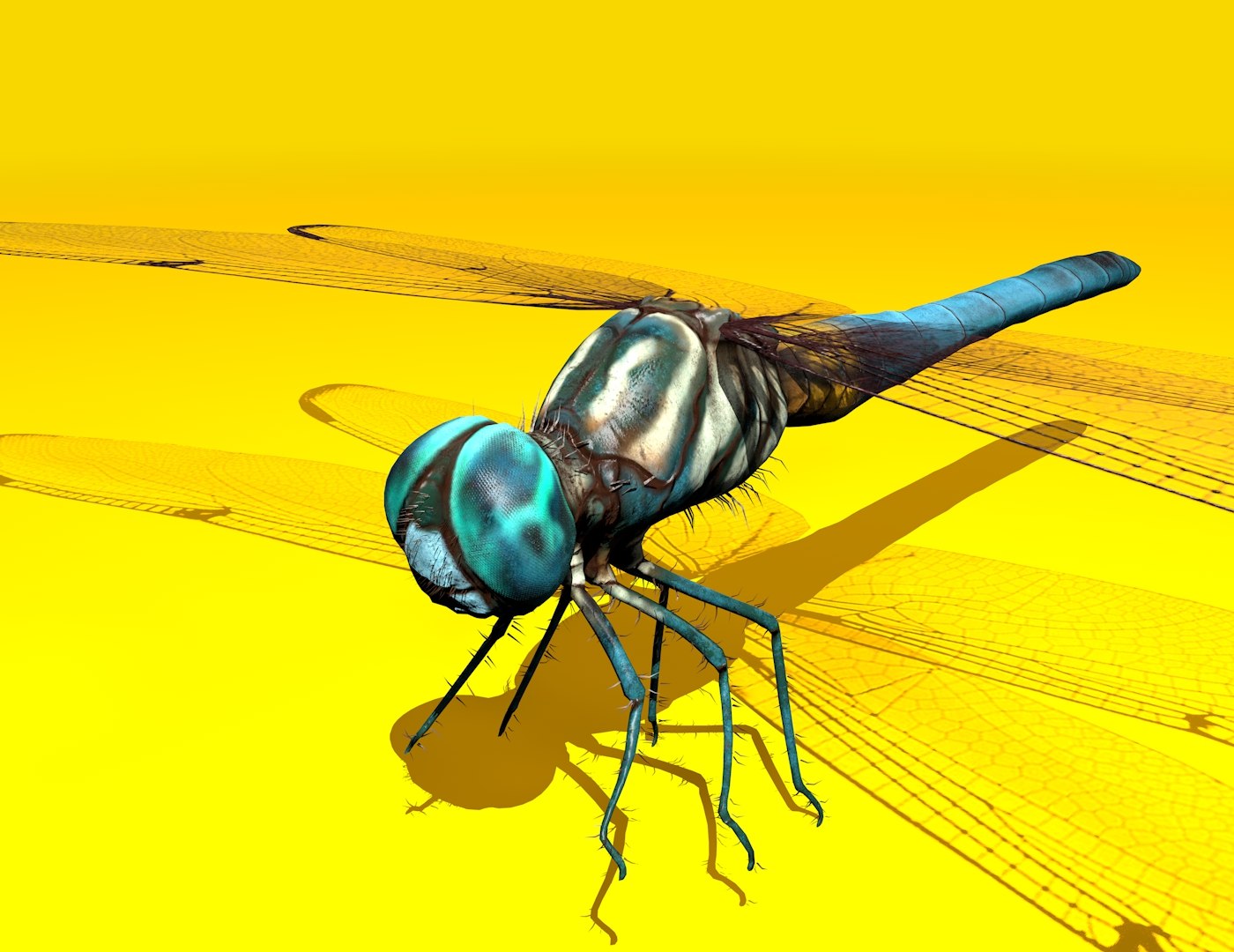 3D dragonfly rigged https://p.turbosquid.com/ts-thumb/NL/BaHqF9/SslCJehQ/7/jpg/1544036390/1920x1080/fit_q87/0d6eb18adfed2c99b4f208cfe7504cf01b1fcaf5/7.jpg