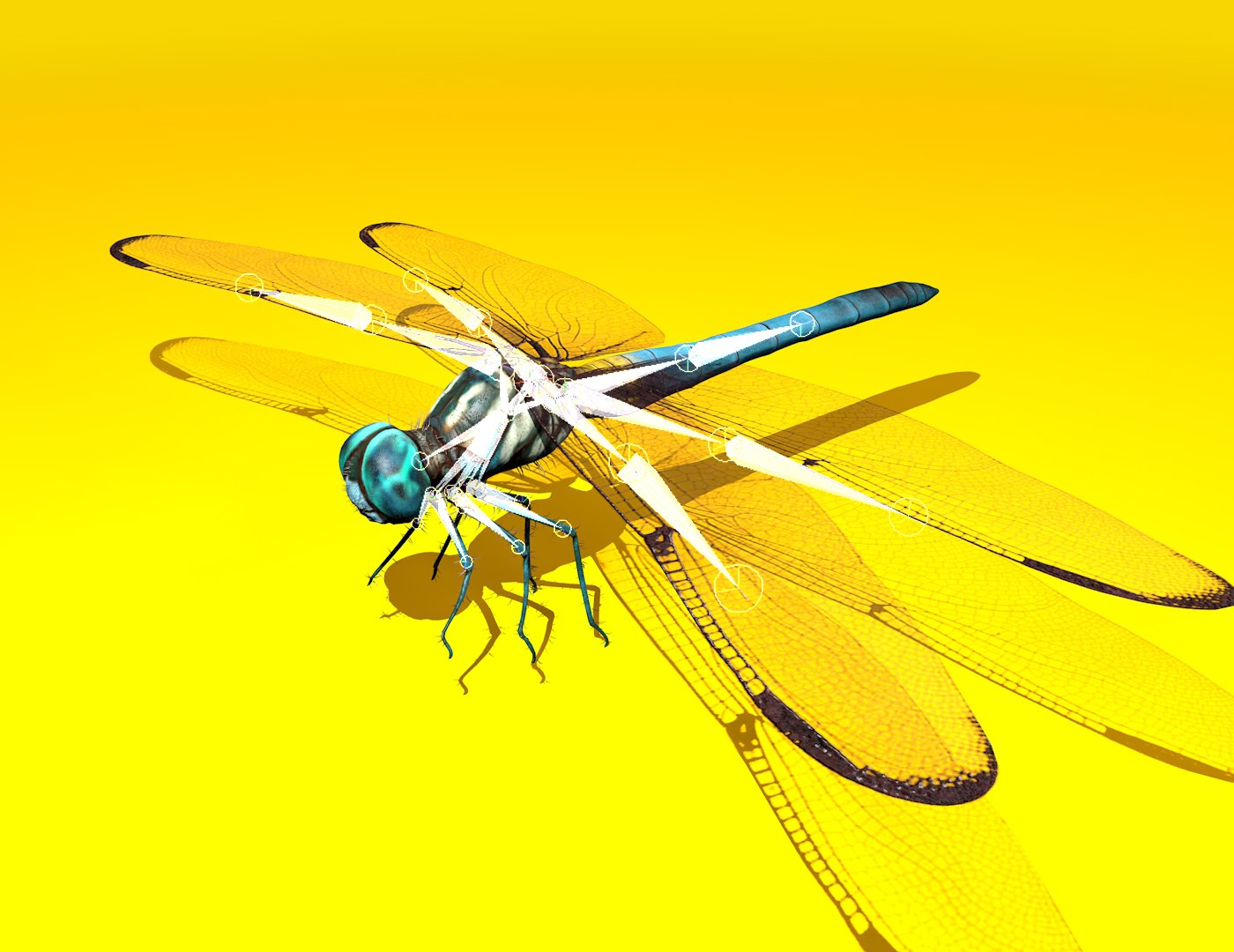 3D dragonfly rigged https://p.turbosquid.com/ts-thumb/NL/BaHqF9/boFesSw1/12/jpg/1544036551/1920x1080/fit_q87/79ee9862023eb754465efe56c18144d0a665abd8/12.jpg