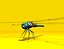 Dragonfly Rigged