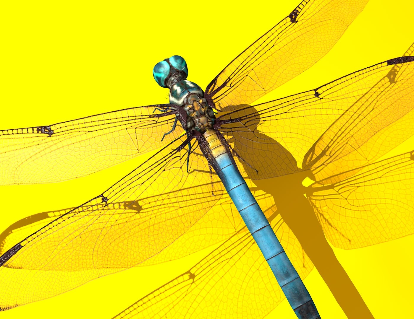 3D dragonfly rigged https://p.turbosquid.com/ts-thumb/NL/BaHqF9/kJhBiTEy/10/jpg/1544036066/1920x1080/fit_q87/e528db7196ddd8c766844d80a1b733c3fb1fe3fc/10.jpg